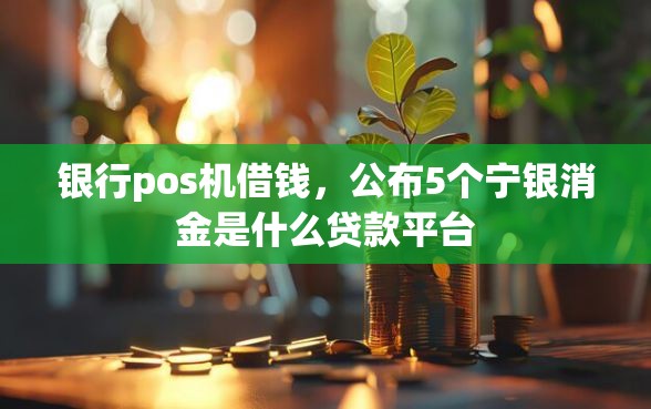 银行pos机借钱，公布5个宁银消金是什么贷款平台