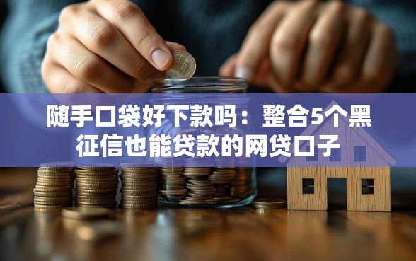随手口袋好下款吗：整合5个黑征信也能贷款的网贷口子