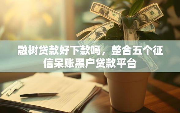 融树贷款好下款吗，整合五个征信呆账黑户贷款平台