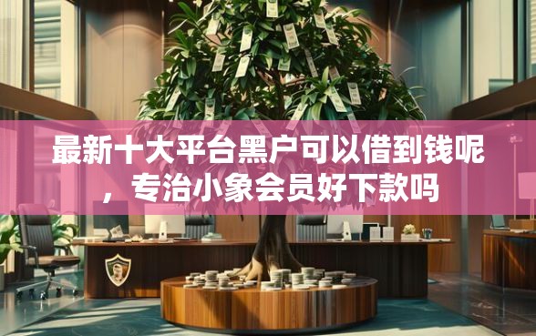 最新十大平台黑户可以借到钱呢，专治小象会员好下款吗