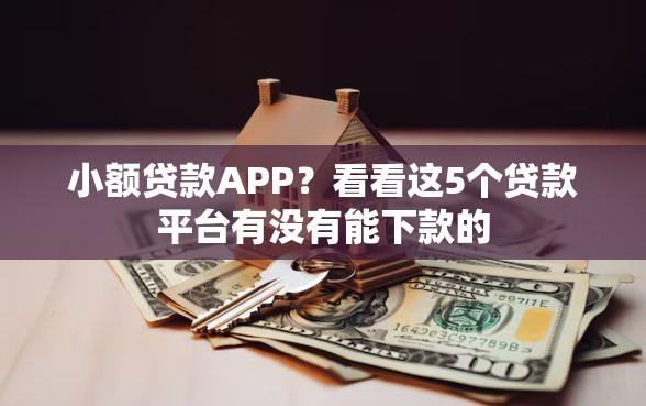 小额贷款APP？看看这5个贷款平台有没有能下款的