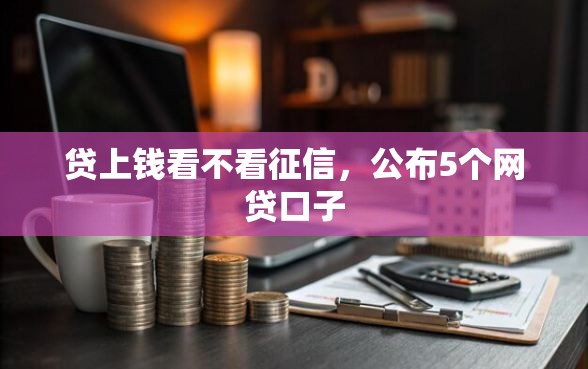 贷上钱看不看征信，公布5个网贷口子
