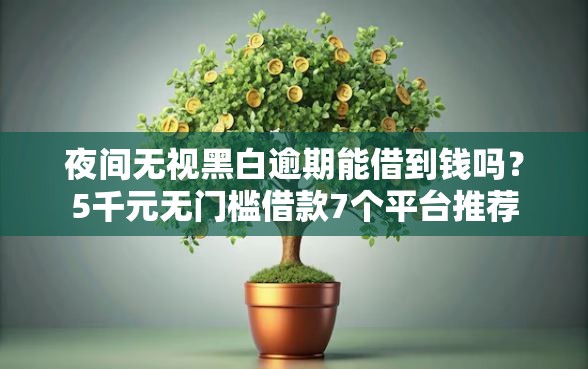 夜间无视黑白逾期能借到钱吗？5千元无门槛借款7个平台推荐