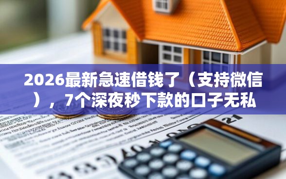 2026最新急速借钱了（支持微信），7个深夜秒下款的口子无私分享