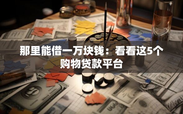 那里能借一万块钱：看看这5个购物贷款平台