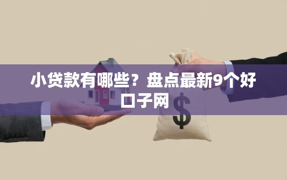小贷款有哪些？盘点最新9个好口子网