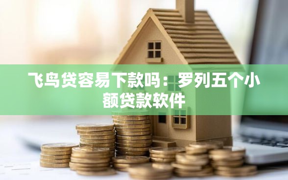 飞鸟贷容易下款吗：罗列五个小额贷款软件