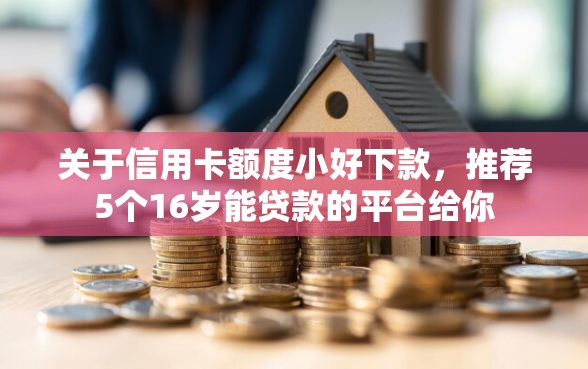 关于信用卡额度小好下款，推荐5个16岁能贷款的平台给你