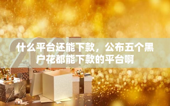 什么平台还能下款，公布五个黑户花都能下款的平台啊