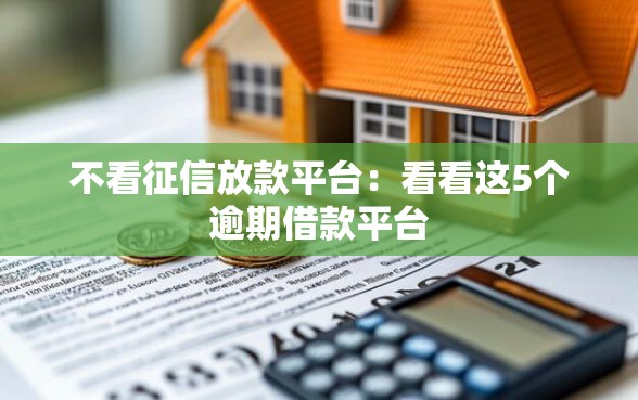 不看征信放款平台：看看这5个逾期借款平台