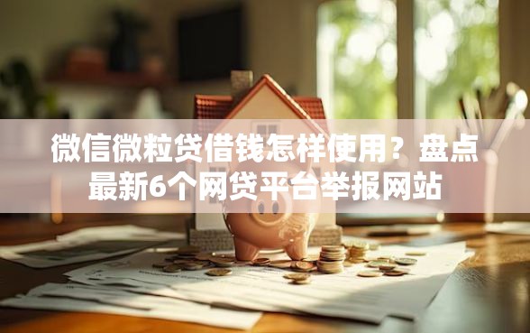 微信微粒贷借钱怎样使用？盘点最新6个网贷平台举报网站