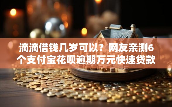 滴滴借钱几岁可以？网友亲测6个支付宝花呗逾期万元快速贷款软件盘点