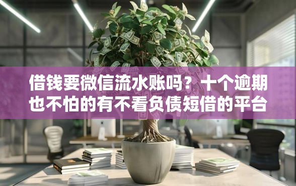 借钱要微信流水账吗？十个逾期也不怕的有不看负债短借的平台