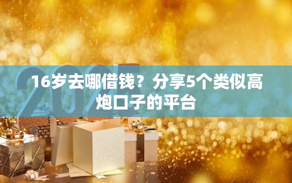 16岁去哪借钱？分享5个类似高炮口子的平台