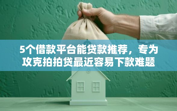 5个借款平台能贷款推荐，专为攻克拍拍贷最近容易下款难题