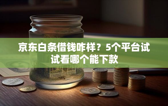 京东白条借钱咋样？5个平台试试看哪个能下款