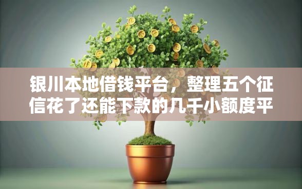 银川本地借钱平台，整理五个征信花了还能下款的几千小额度平台