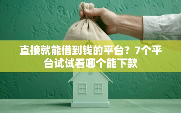 直接就能借到钱的平台？7个平台试试看哪个能下款