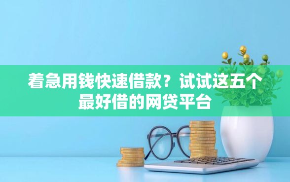 着急用钱快速借款？试试这五个最好借的网贷平台