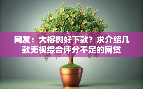 网友：大榕树好下款？求介绍几款无视综合评分不足的网贷