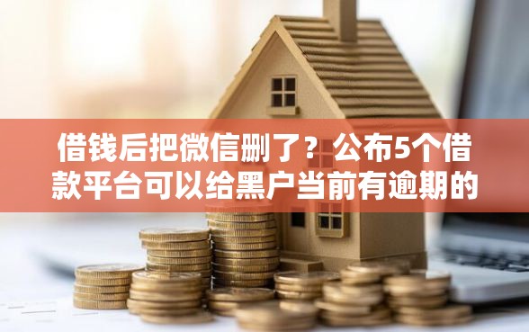 借钱后把微信删了？公布5个借款平台可以给黑户当前有逾期的借款一万