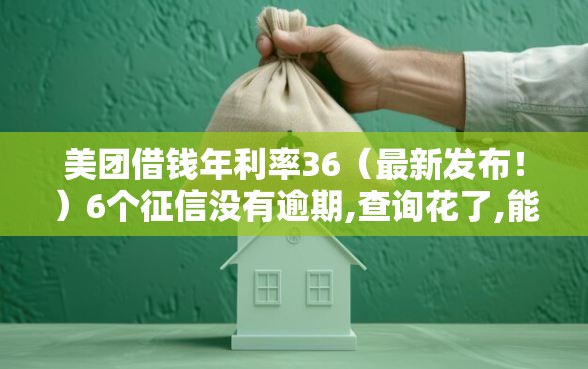 美团借钱年利率36（最新发布！）6个征信没有逾期,查询花了,能贷款的平台