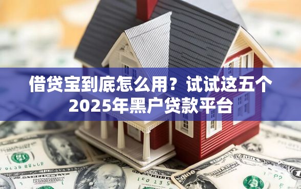 借贷宝到底怎么用？试试这五个2025年黑户贷款平台
