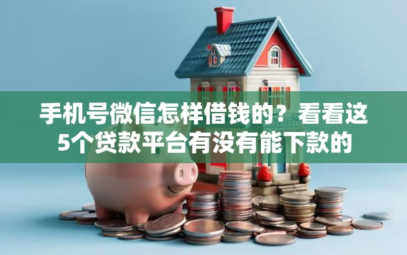 手机号微信怎样借钱的？看看这5个贷款平台有没有能下款的