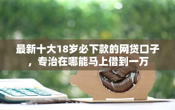 最新十大18岁必下款的网贷口子，专治在哪能马上借到一万
