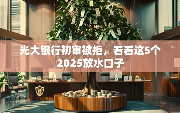 光大银行初审被拒，看看这5个2025放水口子