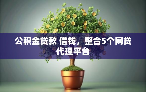 公积金贷款 借钱，整合5个网贷代理平台