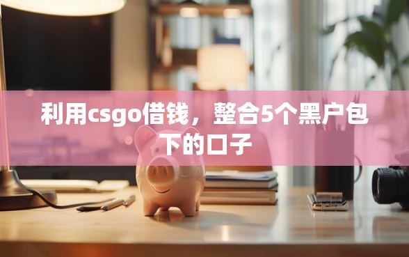 利用csgo借钱，整合5个黑户包下的口子