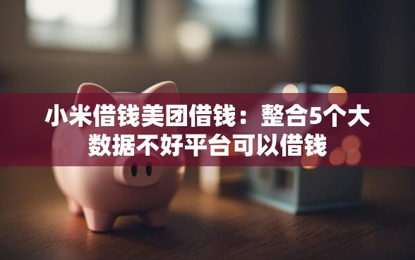 小米借钱美团借钱：整合5个大数据不好平台可以借钱
