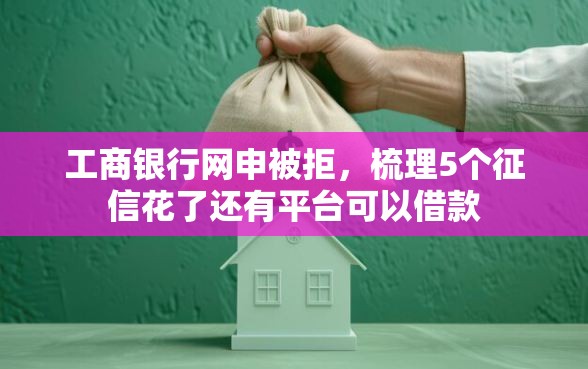 工商银行网申被拒，梳理5个征信花了还有平台可以借款