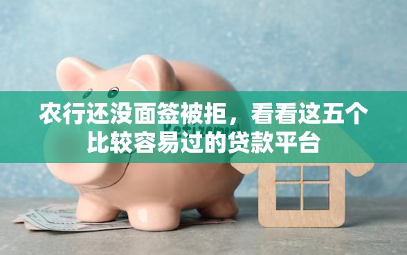 农行还没面签被拒，看看这五个比较容易过的贷款平台
