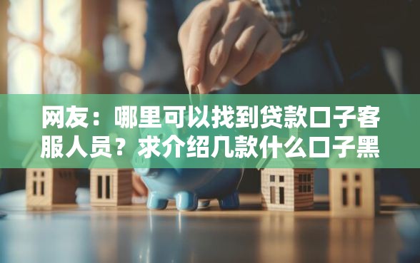 网友：哪里可以找到贷款口子客服人员？求介绍几款什么口子黑户可以下款