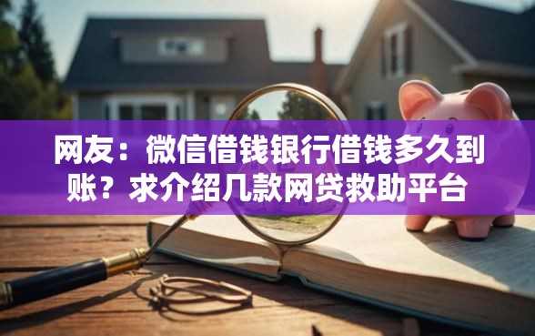 网友：微信借钱银行借钱多久到账？求介绍几款网贷救助平台