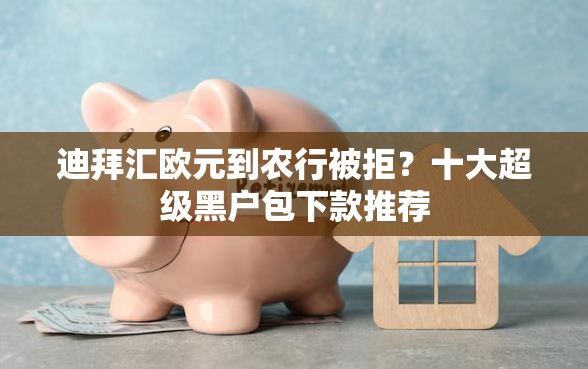 迪拜汇欧元到农行被拒？十大超级黑户包下款推荐