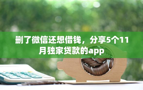删了微信还想借钱，分享5个11月独家贷款的app