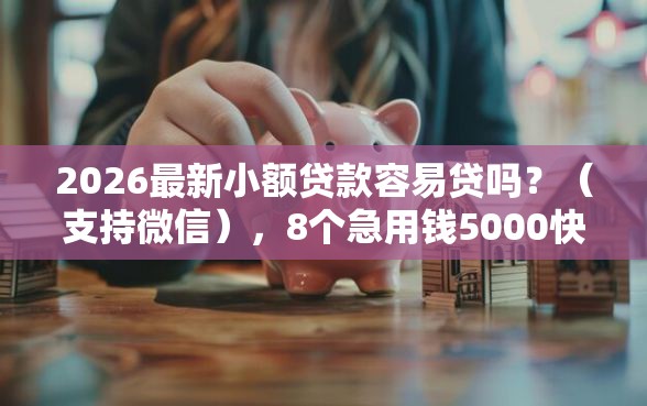 2026最新小额贷款容易贷吗？（支持微信），8个急用钱5000快审快贷无需征信平台无私分享
