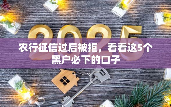农行征信过后被拒，看看这5个黑户必下的口子