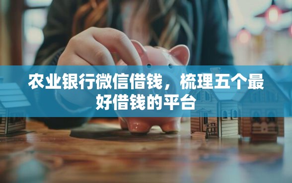 农业银行微信借钱，梳理五个最好借钱的平台