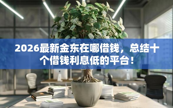 2026最新金东在哪借钱，总结十个借钱利息低的平台！