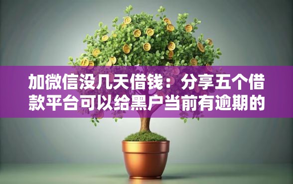 加微信没几天借钱：分享五个借款平台可以给黑户当前有逾期的借款一万
