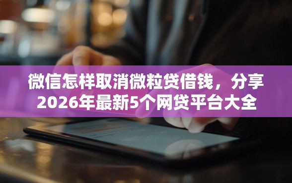 微信怎样取消微粒贷借钱,分享2026年最新5个网贷平台大全 微信怎样取消微粒贷借钱,分享2026年最新5个网贷平台大全