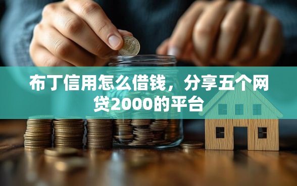 布丁信用怎么借钱，分享五个网贷2000的平台