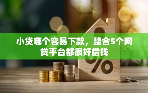 小贷哪个容易下款，整合5个网贷平台都很好借钱