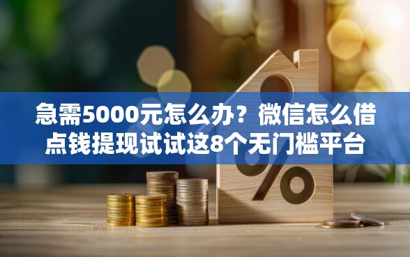 急需5000元怎么办？微信怎么借点钱提现试试这8个无门槛平台