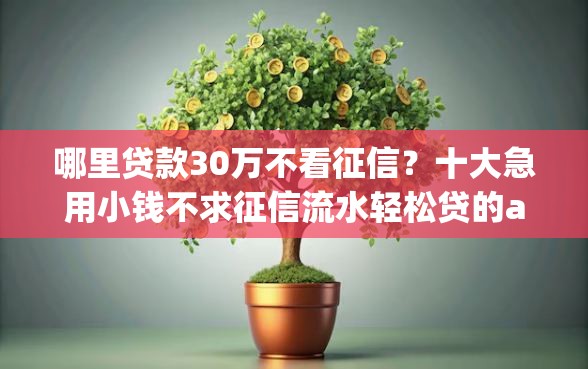 哪里贷款30万不看征信？十大急用小钱不求征信流水轻松贷的app推荐