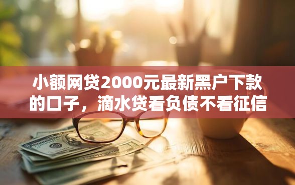 小额网贷2000元最新黑户下款的口子，滴水贷看负债不看征信的6个平台介绍